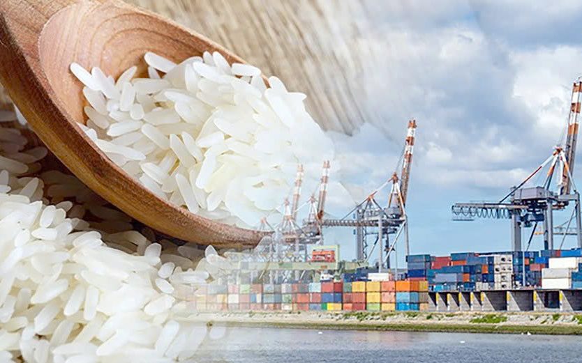 12db56d14292c8cc9183